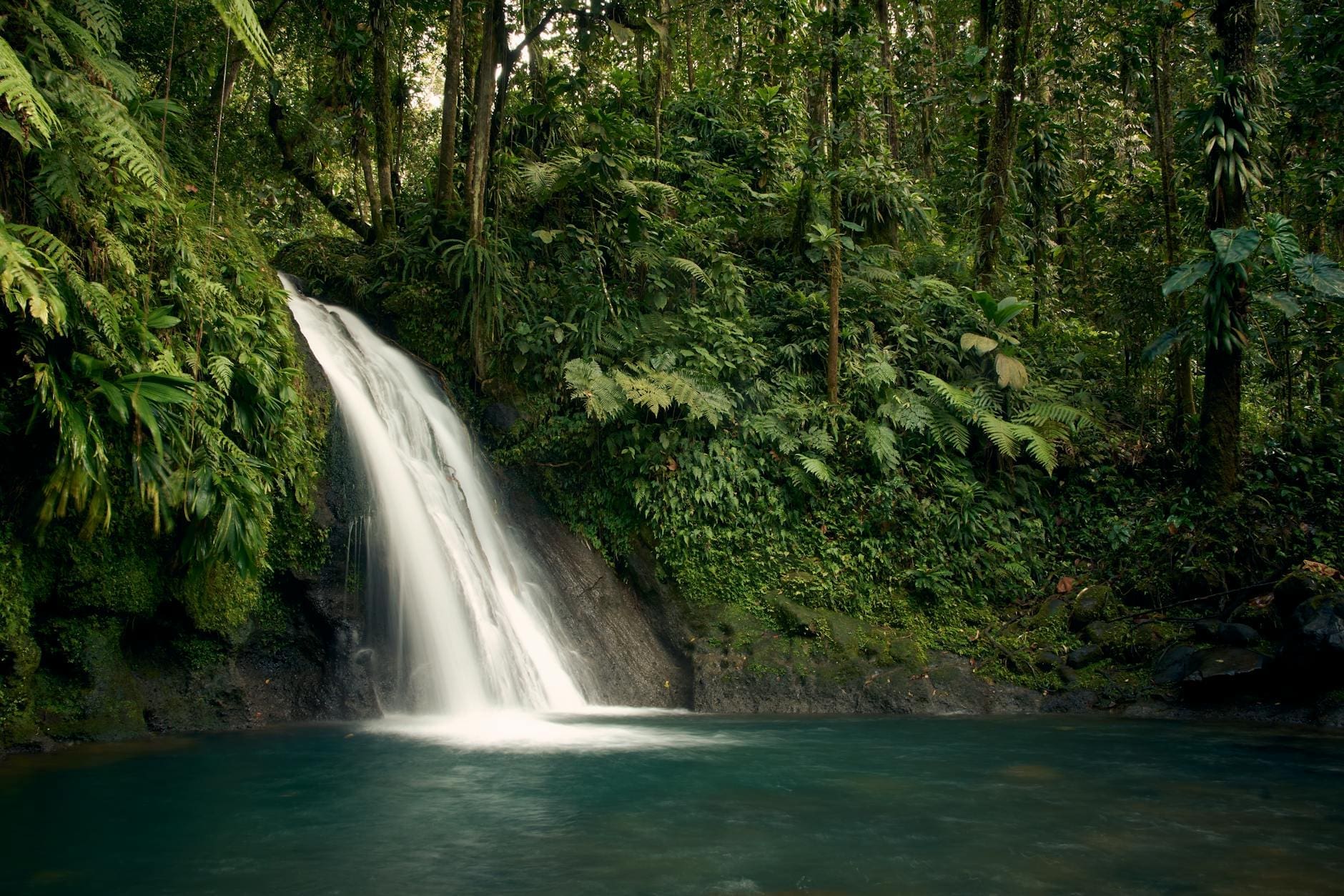 waterfalls in the middle of green trees