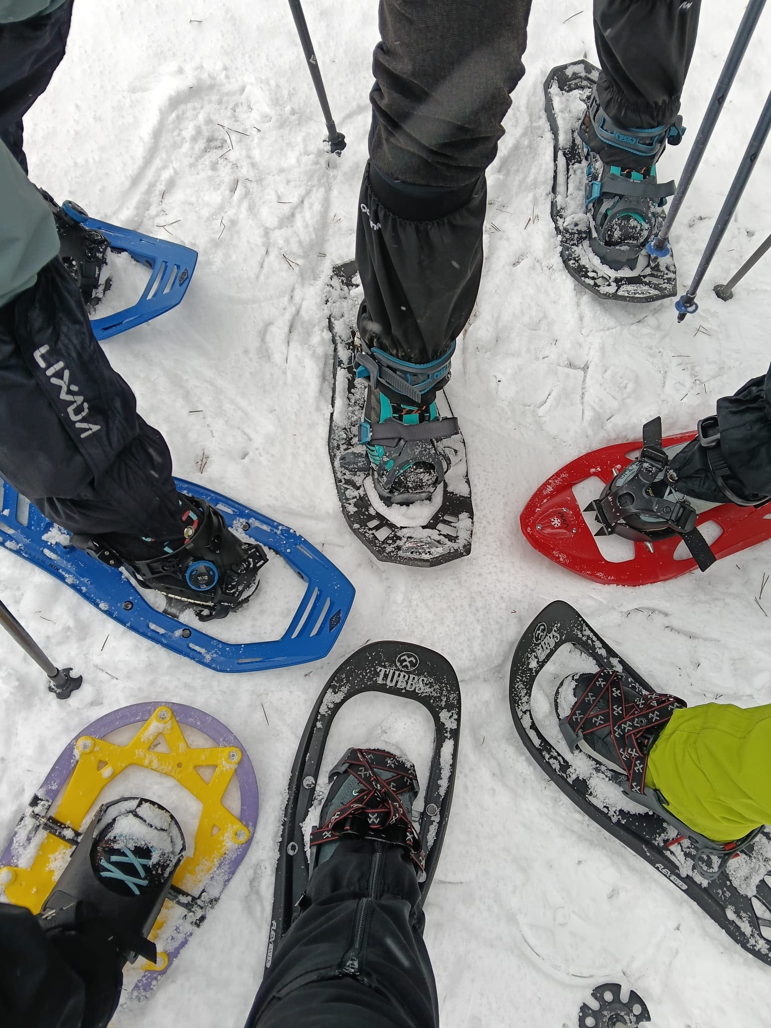 Alpinistas de Montañas de Vida