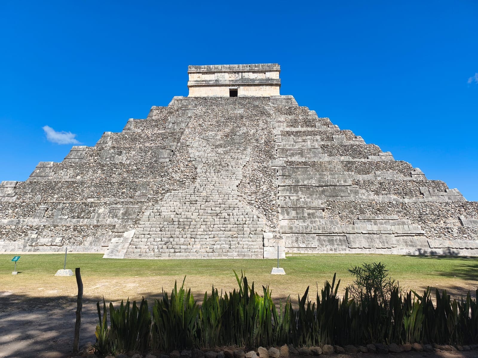 Resurrección o Despertares